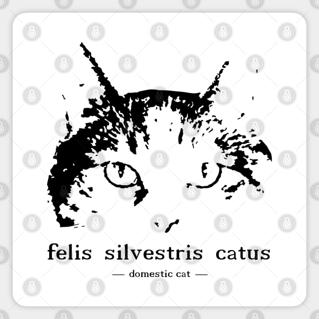 felis silvestris catus - domestic cat Sticker by TinyPrinters